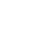 WordPress logo